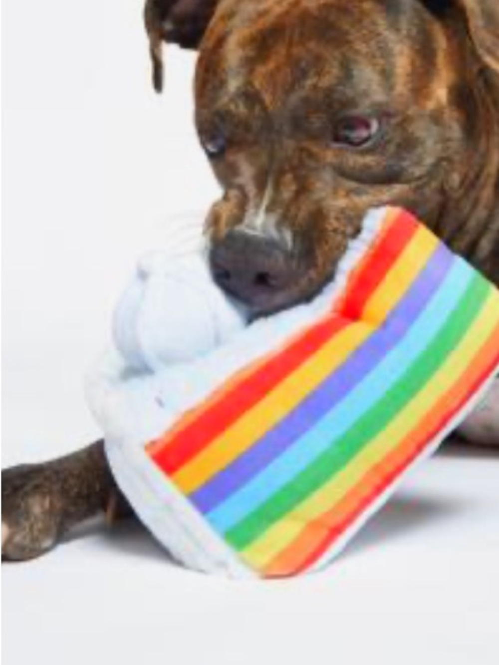 Bark Party! Animal ‘Peace Of Cake’ Large Plush Dog Toy